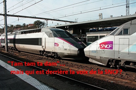 Le métier insolite de la semaine (2) Le métier insolite de la semaine (2)